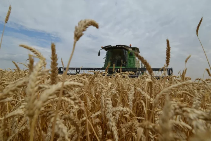 Céréales gouvernement rétablit droits