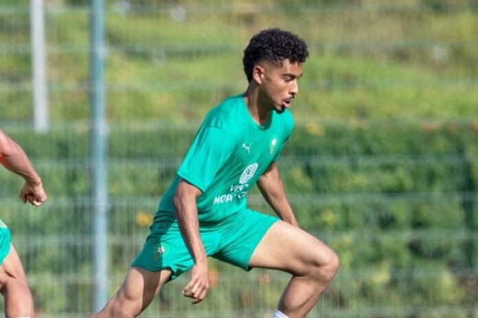 Lions Atlas imposent