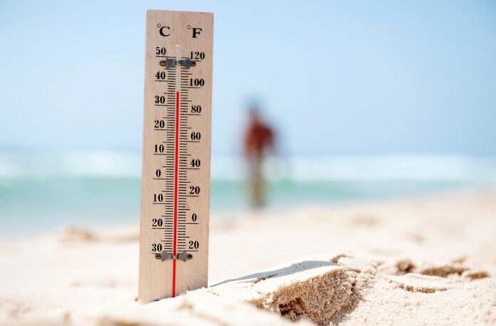 canicule