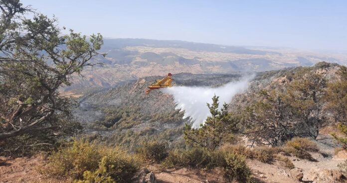 ANEF incendies forêt
