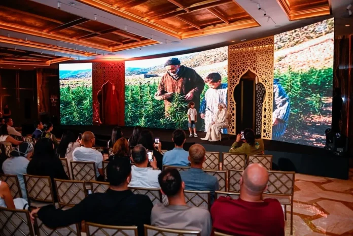 cannabis réglementé Maroc