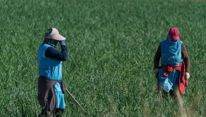 travailleuses saisonnières marocaines