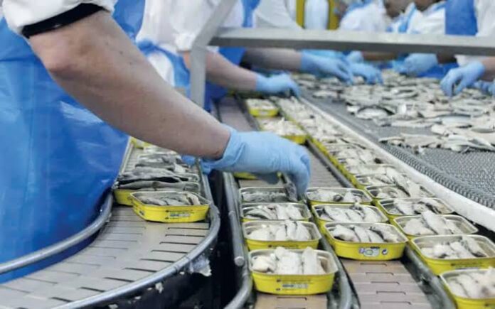 les sardines au Brésil