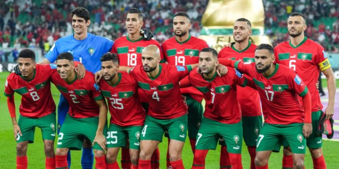 Lions de l’Atlas