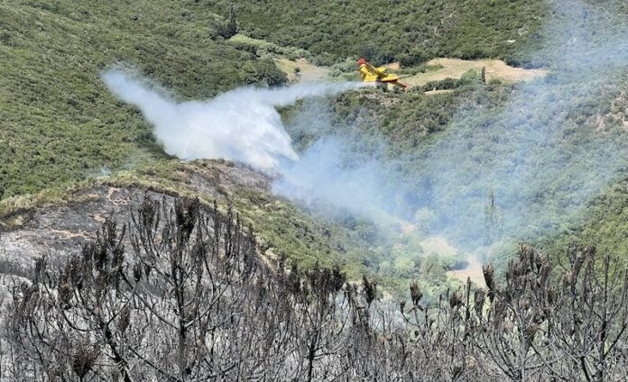 Incendies forêt Maroc