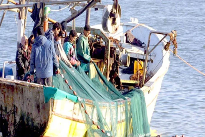 pêche port Mehdia
