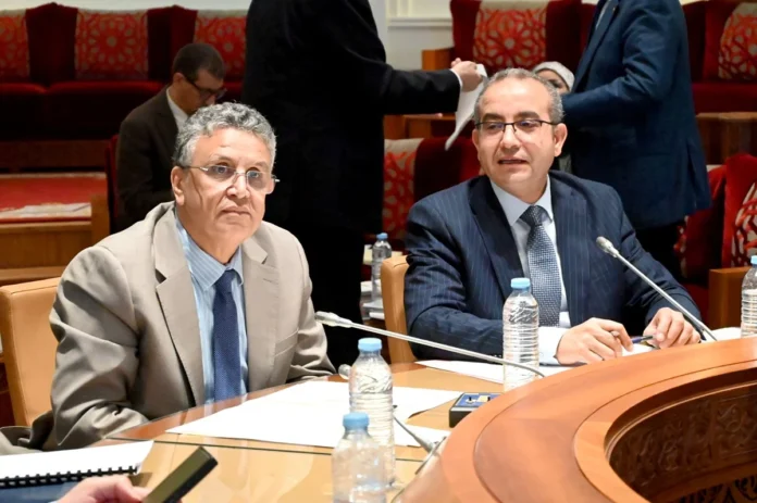 réforme profession avocat