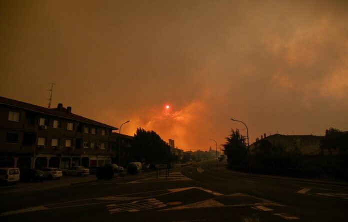 incendie Hautes Fagnes