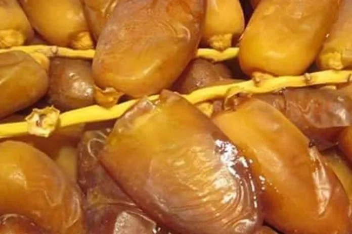 dattes marocaines Allemagne