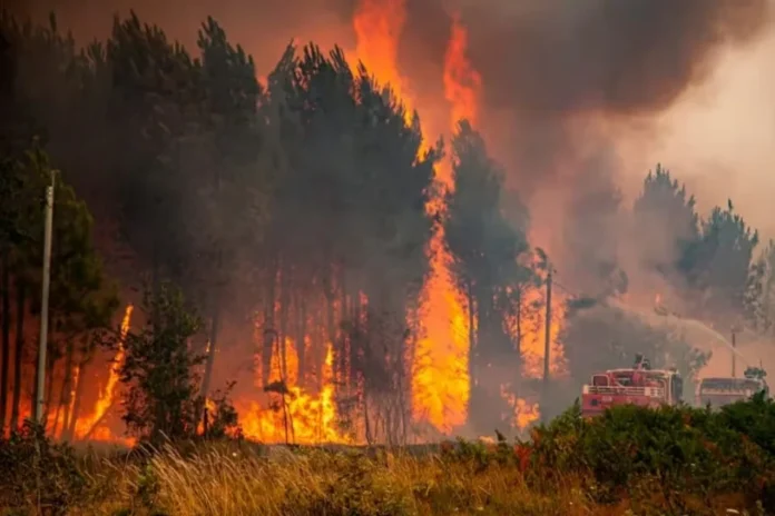 incendie Landes