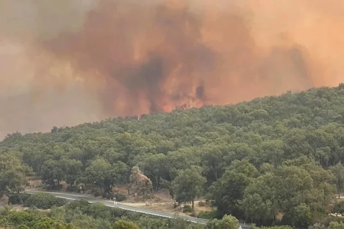 Incendie Tazart