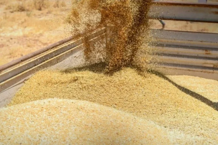 Réserves blé Maroc