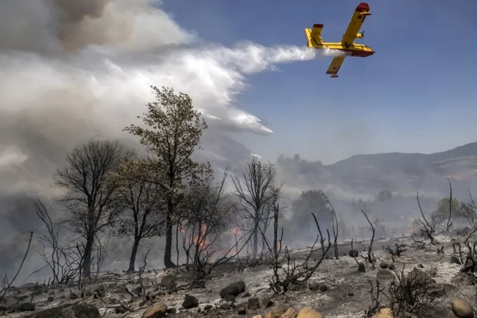 Maroc incendies forêt