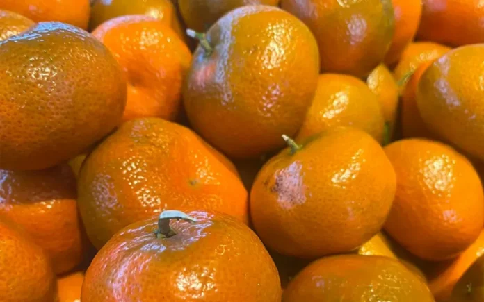 SweetCott mandarine marocaine