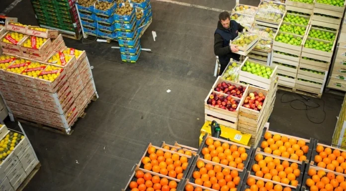 paradoxe agroalimentaire marocain